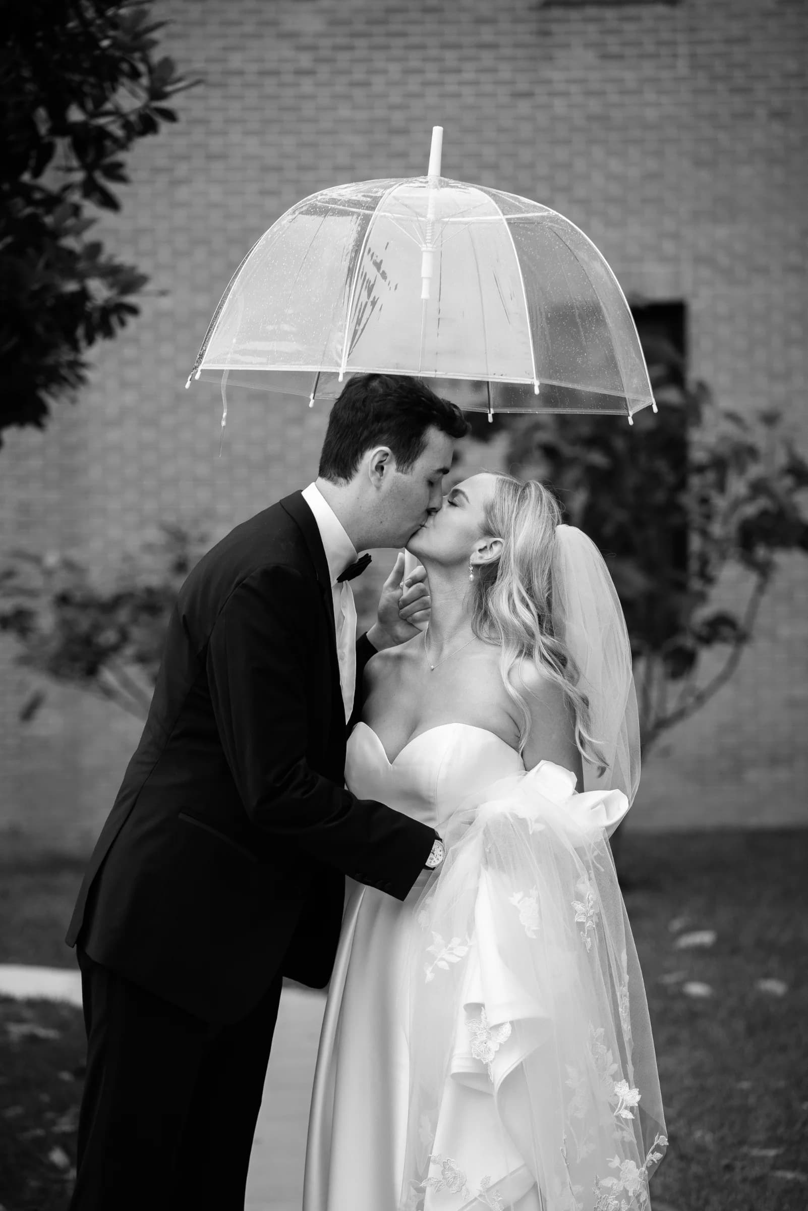 A couple shares a romantic kiss under a clear umbrella, surrounded by greenery, exuding love and intimacy.